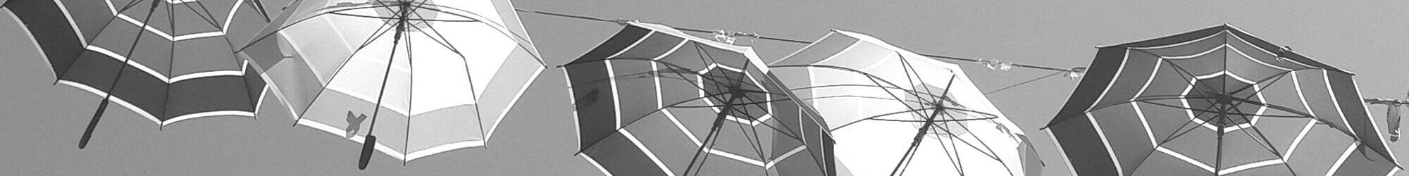 maklerkreisel Versicherungen